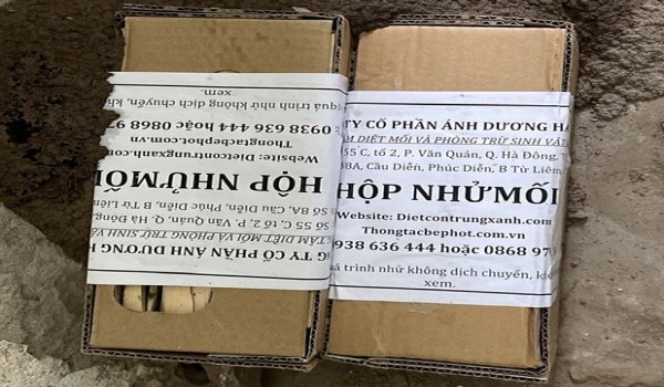 Bí quyết hiệu quả - Diệt Mối An Toàn Và Bền Vững Cho Không Gian Sống Việc diệt mối không chỉ đơn thuần là xử lý những tổ mối đang gây hại mà còn là cá