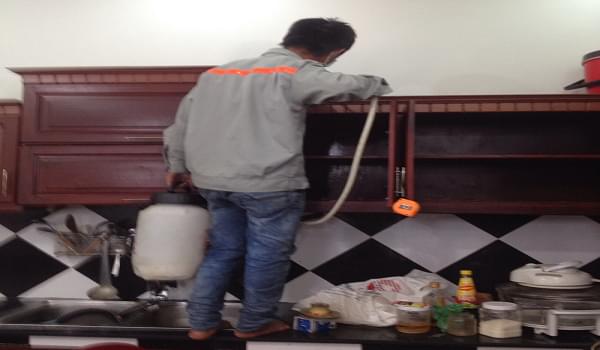 Những phương pháp diệt mối hiệu quả, an toàn cho người và tài sản