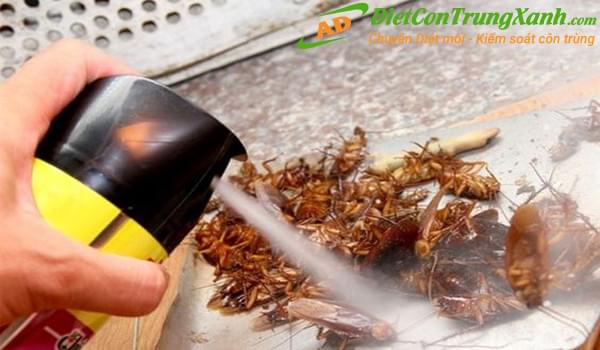 Tác hại khôn lường nếu không biết cách sử dụng thuốc diệt côn trùng